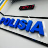 Павлодарка 11 лет скрывала российское гражданство