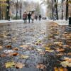 Метель и ветер до 28 метров в секунду ожидаются в Павлодаре