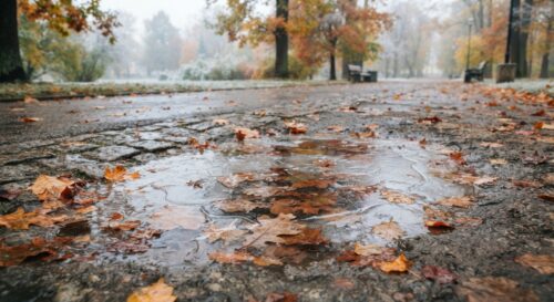 В Павлодаре ночью температура опустится до -4°C